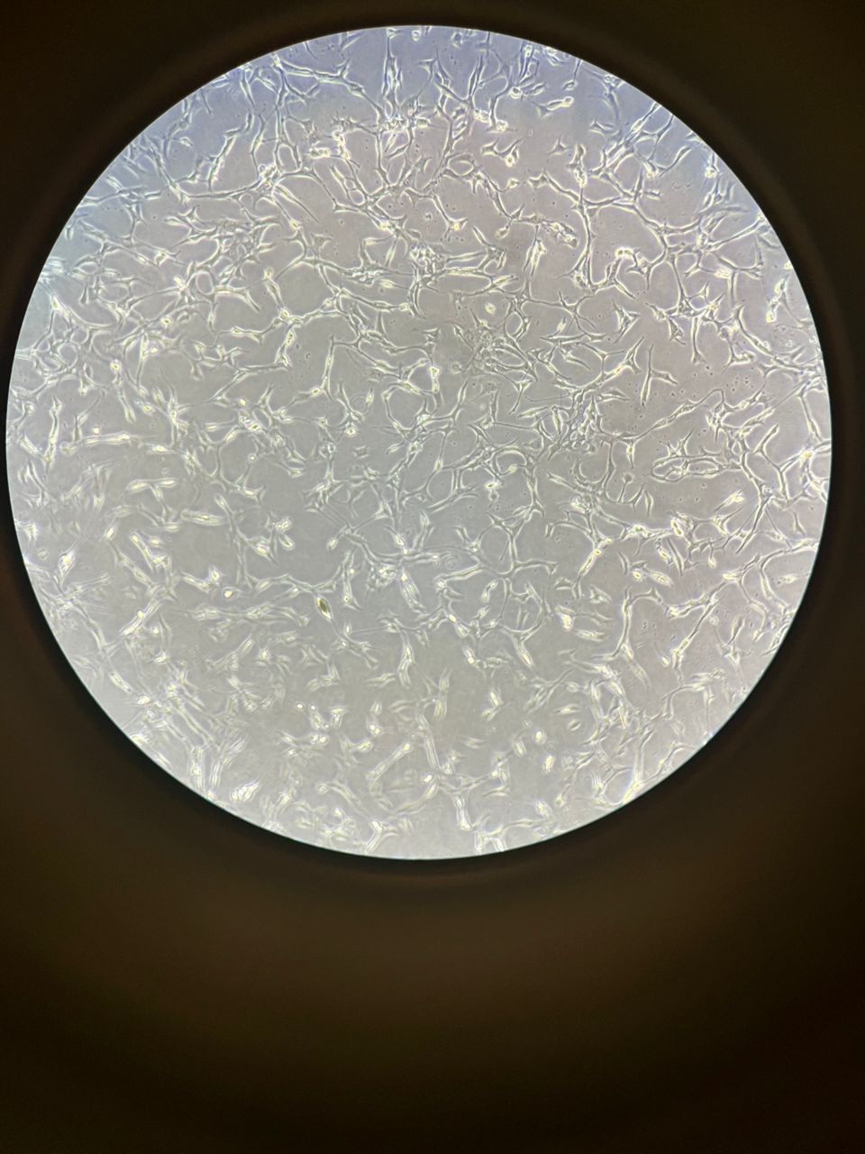 فعال شدن هسته نوروآنکولوژی در مرکز تحقیقات